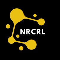 Nanotechnology, Renewable Energy and Catalysis Research Laboratory (NRCRL) logo - Similar company to Jtz Engineering And Trading Inn