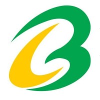 Brace Port Logistics Limited logo - Similar company to Flyment