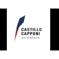 Castillo Capponi Aerospace logo - Similar company to Math Trend