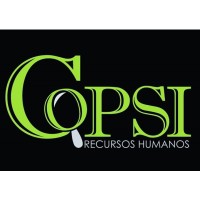 Copsi Consultora logo - Similar company to Dkconsult