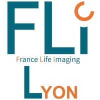 France Life Imaging - Lyon logo - Similar company to Neuro Gestalt Institut