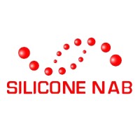 Siliconenab I سیلیکون ناب logo - Similar company to Peytam