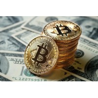Bitpesa Fund 1 a series of Alpha Funders Investments LLC logo - Similar company to Africa Chamber Of Digital Commerce (Acofdc Inc) [アフリカ商工会議所デジタルコマース]