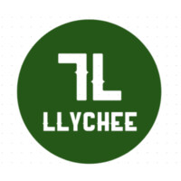 Llychee logo - Similar company to Acsetra