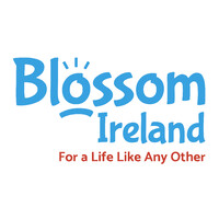 Blossom Ireland logo - Similar company to Guidedoc