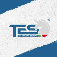 Tecno Edil Sistem logo - Similar company to Mora S.P.A. - Carrelli Elevatori