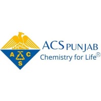 ACS Punjab Pakistan logo - Similar company to Veraco