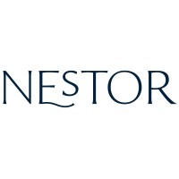 Nestor Solutions logo - Similar company to Green Grid Solutions
