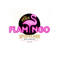 Pink Flamingo Spiegeland logo - Similar company to Gender Justice Project