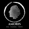 Amoris logo - Similar company to Crunchprep