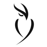 Visym Labs logo - Similar company to Illumr
