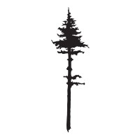 Old Pine Coffee Roasters, Llc
