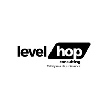 Level Hop logo - Similar company to Avenue Formation