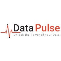 Data Pulse