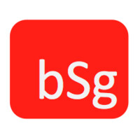 Brand Security Group Llc