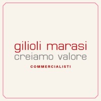 SINERNET logo - Similar company to Gmd Commercialisti | Società Benefit