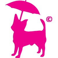 All Stars Agency logo - Similar company to Ome World