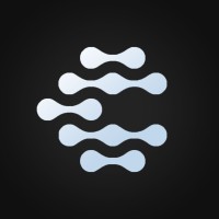 Nasr Pay logo - Similar company to Any Crypto Pay