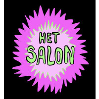 Stichting Het Salon Ateliers logo - Similar company to Setso
