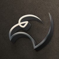 Eagle Vision logo - Similar company to Scage
