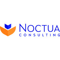 Noctua Consulting Services logo - Similar company to Noctua Technology, Inc.