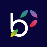 Biltin logo - Similar company to Workstreams Bv