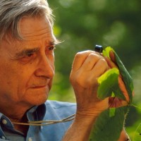 E.O. Wilson Biodiversity Foundation logo - Similar company to Legacy System