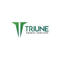 Triune Energy Services Pvt. Ltd. logo - Similar company to Pumo Engineering Services