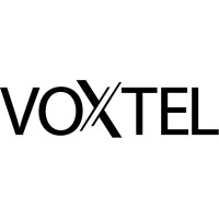 VOXTEL logo - Similar company to Neuro-Vision