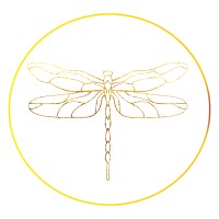 Lini Skinfood logo - Similar company to Ecological Servants Project
