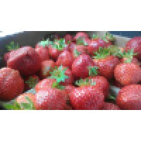 Sunscape Farms