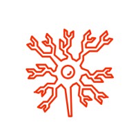 Azerbaijan Neuroscience Society logo - Similar company to Medic School Training Center