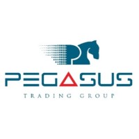 Pegasus Trading Group logo - Similar company to Pegasus Planning