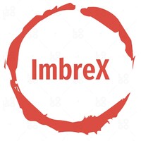 Imbrex logo - Similar company to Cargo Sure