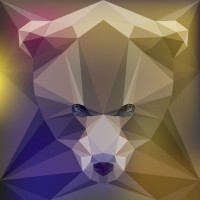 The Bear Insight