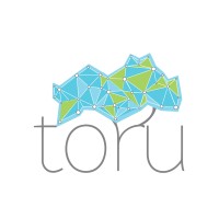 Toru Institute of Inclusive Innovation logo - Similar company to Commudemy