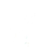 Maison logo - Similar company to Vienna Studio