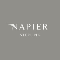 Napier Sterling logo - Similar company to Steve Edge Design Ltd