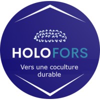 HOLOFORS logo - Similar company to Cdpmem 17