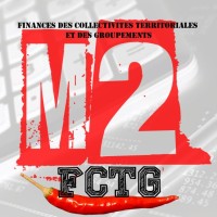 M2 Finances des Collectivités Territoriales et des Groupements logo - Similar company to Simco