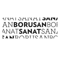 BORUSAN SANAT logo - Similar company to Temacc