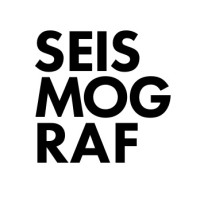 Seismograf logo - Similar company to Iscene.Dk