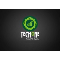 TechOne Capital logo - Similar company to Techvine