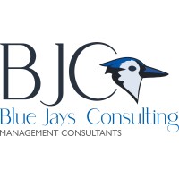 Blue Jays Consulting logo - Similar company to Richard Anthony