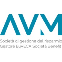 AVM SGR logo - Similar company to Future Developing