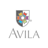 AVILA International Education Consultancy logo - Similar company to Triple Alpha Llc