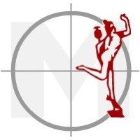 Mercury Engineering Co. (Pty) Ltd logo - Similar company to Am Engineering Cc