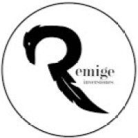 Remige Inversiones S.L logo - Similar company to Sers Consultores En Ingeniería Y Arquitectura