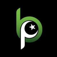 Being Pakistani logo - Similar company to Lmsninjas