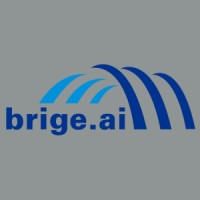brige.ai Pte. Ltd. logo - Similar company to Oceanpixel